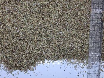 Marjoram Type Dried Place of Origin Egypt Quality Premium, 1st - AROMATIC Herbs and Spices - Egypt