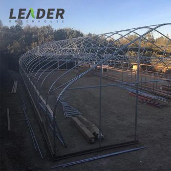 Agricultural Tent Green House Plastic Tunnel PE Single-Span Greenhouse - Jiangsu Leader Greenhouse Equipment Co., Ltd. - China