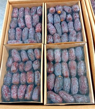 Medjool - Ali Dates - Jordan