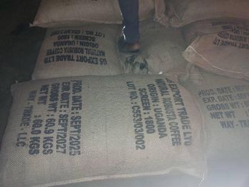 ROBUSTA COFFEE BEANS – product photo, Roasted Robusta Coffee Beans products found from trusted suppliers, wholesalers, manufacturers & exporters Listing