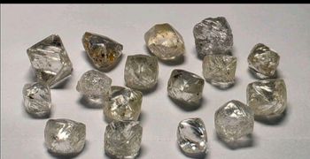Rough Diamonds Clarity Good Origin Africa Cut Rough Uncut Quality Good Quality Size Range 1 To 20 Cts Weight Range 1 To 20 Cts - allessentialsupplyservice - South Africa