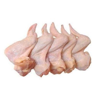 TOP QUALITY HALAL FROZEN CHICKEN WINGS- 3 JOINTS CHICKEN WINGS Frozen Chicken Joint Wings - N.G westen holding B.V - Netherlands