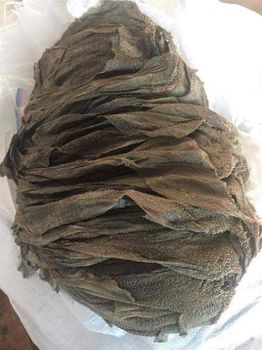 Dried Omasum Foreign Matter None Moisture Content Below 12% Drying Method Air-dried / Sun-dried Color Natural Grayish To Light Brown - Zabs Holdings - South Africa