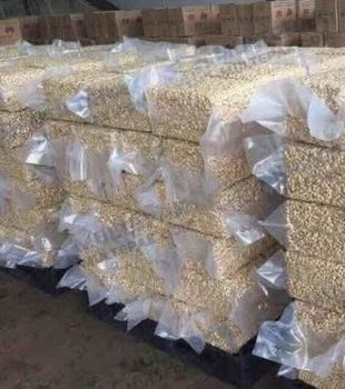 Dry Nuts Like Cashew Nuts, Almond Nuts And Walnuts Color White Style Dried Quality Premium Shelf Life 5 YEARS Cultivation Type Afi - jmb management - Germany