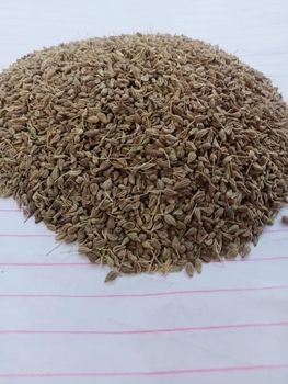 Anise seeds Freshness Level Dried Features Halal, Kosher - Elmotmiz Herbs - Egypt