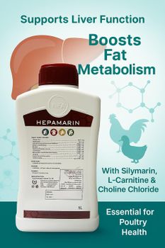 HEPAMARIN Brand Name NFA Form Bottles And Drums, Liquid Shelf Life 24 Months, 24 months Key Ingredient Choline Chloride 75,000 Mg, L-carnitine 27,500 Mg, Silymarin 25,000 Mg, Vitamin C 2,000 Mg - NFA Pharma Co - Turkey