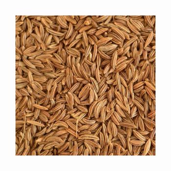 World Best Selling Caraway Seeds Dried Grade Top Texture Dried Flavor Aromatic Quality Premium Type Caraway Seed Delivery Fast Delivery - afrivett@gmail.com - South Africa