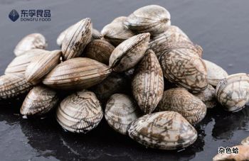 Frozen cooked Clam Form Frozen Texture Cooked Processing Method Cooked - Donggang Dongfu Food Co., Ltd. - China