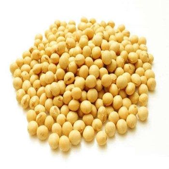 Fresh Soybeans High Grade Whole Beans Affordable Wholesale & Bulk Supply - A.C.P. AGRICULTURE COMPANY LIMITED - Thailand