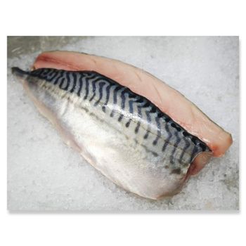 Frozen Mackerel Fish Wild Caught Ocean Selection With Excellent Freshness And Professional Export Preparation - TOSOH INTERNATIONAL - South Africa