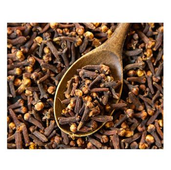 100% Good Quality High Quality Wholesale Clove Wholesale Price Treatment Dried Cloves Spice Cloves For Sale - Exigentelaxia Unipessoal Lda - Portugal