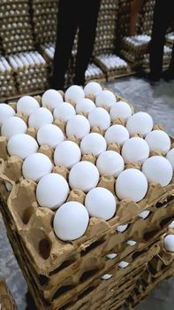 Chicken Eggs Grade A Color White Weight (kg) 25 Egg Size Large Packing 30 Eggs Per Tray Shelf Life 90 Days, 90 days Place of Origin Turkmenistan - Orun Trading LLC - United Arab Emirates