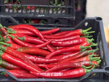 Red Chillie Pepper Origin Egypt Storage Temperature 7°c - 10°c Quality Grade Export Quality (class A) Supply Capacity 1,000 Tons Via Scheduled - AgriVision - Egypt