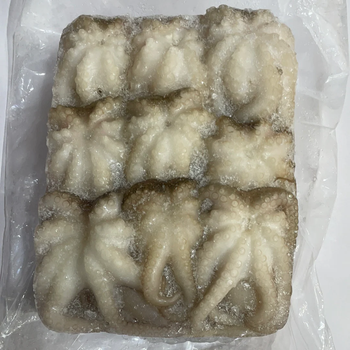 Frozen Baby Octopus Premium Quality Seafood Tender Cleaned Ready To Cook Fresh Taste Ideal