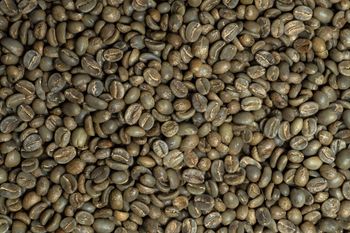 Green Coffee Beans - Bafama Coffee Indonesia - Indonesia