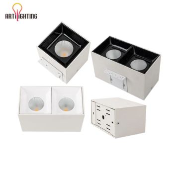 Box Surface Mounted Spotlight Single Double Heads Squared Install Anti-Glare Ceiling Lighting for Interior Exhibition Hall Commerical - Zhongshan Artilighting Lamp Co., Ltd. - China