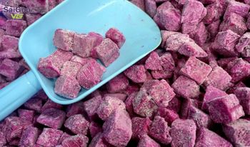 Frozen IQF Diced & Sliced - Red & White Flesh Dragon Fruit Packaging 1 kgs pack Flesh Color Red And White Oem And Private Label Available - SAIGON VG - Vietnam