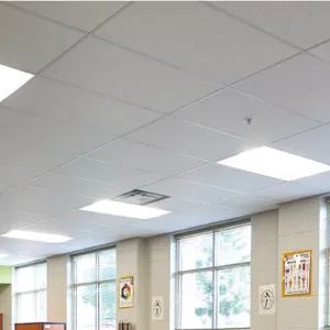 Acoustic Ceiling Panels Mineral Wool/Rock Wool/Glass Wool Color White Size 600mm*600mm Origin Jiangsu Cn Surface Micropore - Jiangyin Dego Building Materials Co., Ltd. - China