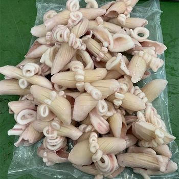 High Quality New Season Frozen Todarodes Squid Wing Flower Pineapple Cut Squid For Calamari - Xiamen Sanfengshun Import & Export Co., Ltd. - China