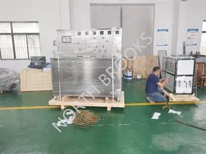 CO2 Extraction Machine for Tangerine Essential Oil - Shanghai North Brooks Co., Ltd - China