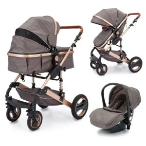Customized 3 in 1 Luxury Baby Strollers Rain Cover OEM Aluminium Alloy Frame Cotton Baby Walkers - HEBEI GREENSKY INDUSTRY GROUP CO., LTD - China