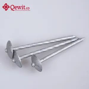 Exceptional Quality Umbrella Head Roofing Nails with Affordable Pricing Options - Qewitco Fasteners Co., Ltd - China