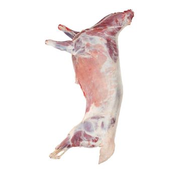 Wholesale fresh whole lamb, buy fresh lamb meat at Wholesale price  - Padrao Distopico Unipessoal LDA - Portugal