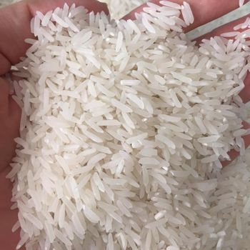 Long Grain Jasmine Rice in Vietnam 25kg 5kg 1kgwholesale Arroz price 2024 new crop RIZ AU JASMIN ARROZ WHATSAPP 0084 989 322 607 - Sunrise Ins Group - Vietnam