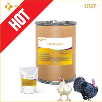 GMP Certification Pharmaceutical Chemical Animal Drug Amprolium HCl Soluble Powder Veterinary Poultry Medicines CAS137-88-2 - Shanghai Ganglu Huinong Biotechnology Co., Ltd. - China