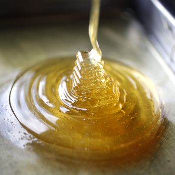 Multifloral Honey Collected From Diverse Blooming Fields Ensuring Distinct Flavor Profile And Year Round Bulk Supply - TOSOH INTERNATIONAL - South Africa