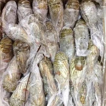 Frozen Crayfish Tail Meat Carefully Selected High Protein Seafood For Bulk Import Distribution And Retail Supply - TOSOH INTERNATIONAL - South Africa
