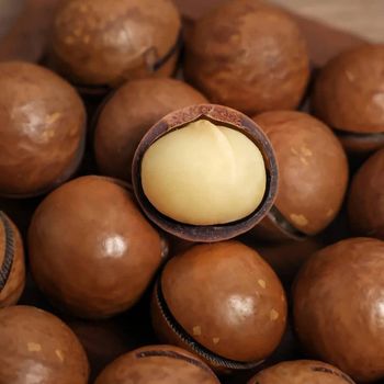 Rich in Protein 100% Natural and Healthy Products Dried Nuts Creamy Original Macadamia Nuts WHATSAP +255787979235/ 255762500052 - AL JABLI TRADING COMPANY LIMITED - Tanzania