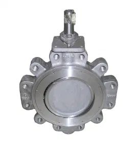 Steel Casting Parts-Double-Eccentric Butterfly-Valves Bodies (SC-HS05) - Ningbo Hengsheng Machinery Co., Ltd. - China