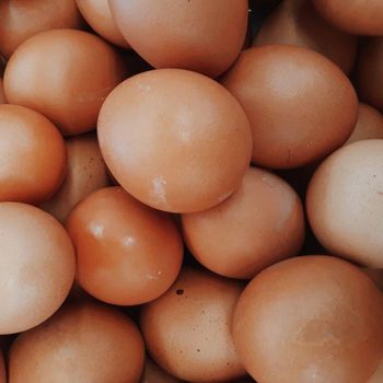 Premium Farm Selected Fresh Table Eggs With Clean Packing For Export Buyers Requesting Bulk Supply from malter group Premium Farm Selected Fresh Table Eggs With Clean Packing For Export Buyers Requesting Bulk Supply - malter group - Tanzania