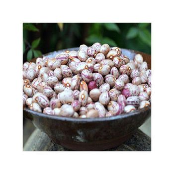 Sugar beans packed in bulk bags for global delivery – product photo, Bulk Tea Bags products found from trusted suppliers, wholesalers, manufacturers & exporters Listing