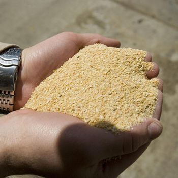Soybean Meal 46% - TREVEX INTER CO.,LTD - Thailand