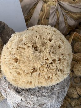 Natural sea Sponges Origin Mediterranean Sea Material 100% Natural Sea - Zarzis Sponges - Tunisia