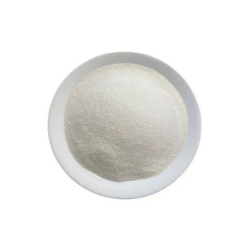 Non Dairy Creamers Whipped Cream Powder Whipping Cream Powder Premium Non-Dairy Creamer Powder for Coffee/Tea - 25kg/Bag - NINGBO SUPER FOOD TECHNOLOGY CO., LTD. - China