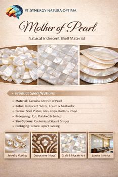 Mother of Pearl Origin Indonesia Quality Export Grade Material Natural Mother Of Pearl Treatment Untreated, Chemical-free - PT. Synergy Natura Optima - Indonesia