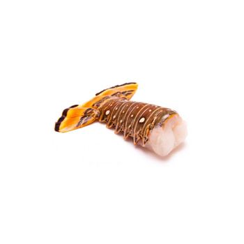 Royal spiny lobster for bulk export and fine dining suppliers - BMU TRADING GMBH - Germany