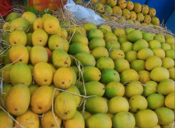 Fresh Mango -  BS International  - India