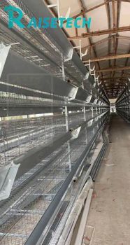 Durable with 3.0*1.6m Size Steel Wire Chicken Coop for Broilers - Raisetech Co., Ltd. - China