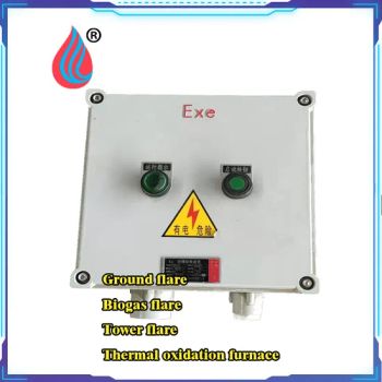 Industrial Torch Automatic Ignition System for Livestock Farms, Sewage Treatment Plants - Heze Zexuan Equipment Manufacturing Co., Ltd. - China