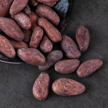 Premium Cocoa Beans Export Grade | Whole Beans | 25kg and 50kg Bags | Bulk Supply – product photo, Bulk Tea Bags products found from trusted suppliers, wholesalers, manufacturers & exporters Listing