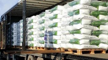 Hemp seeds for sowing - NORTHEAST HERITAGE LIMITED - Lithuania