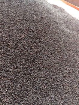 Black Pepper - Tanzania Agroflux and Rocks Ltd - Tanzania