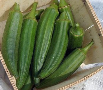 Fresh / Frozen Okra Leaf Size Small Yield Level High Pod Surface Shiny Plant Size Compact Pod Color Dark Green Maturity Type Extra-early - MEME GROUP COMPANY LTD - Cameroon