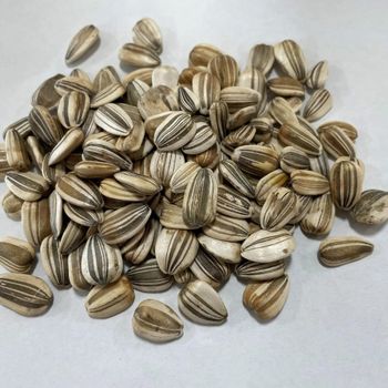 Natural Sunflower seed for healthy consumption Sunflower seed delivered in bulk with maximum purity and quality - AGRO AFRIQUE COMPANY LIMITED - Tanzania