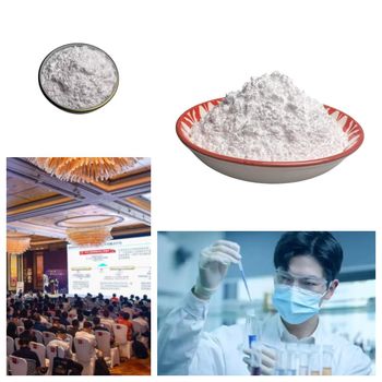 Global Supplier of Refined Egg Albumen Powder and Yolk Powder – Food Grade Spray Dried Egg Products for Industrial Baking, Nutritional Supplements, Sauces, Dairy Alternatives, and Large Scale Food Processing with Bulk Export Packaging and Reliable International Shipping - agroturaspzoo - Poland