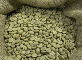 Kenyan Arabica Coffee – Grade AA – product photo, Grade 4 Coffee products found from trusted suppliers, wholesalers, manufacturers & exporters Listing